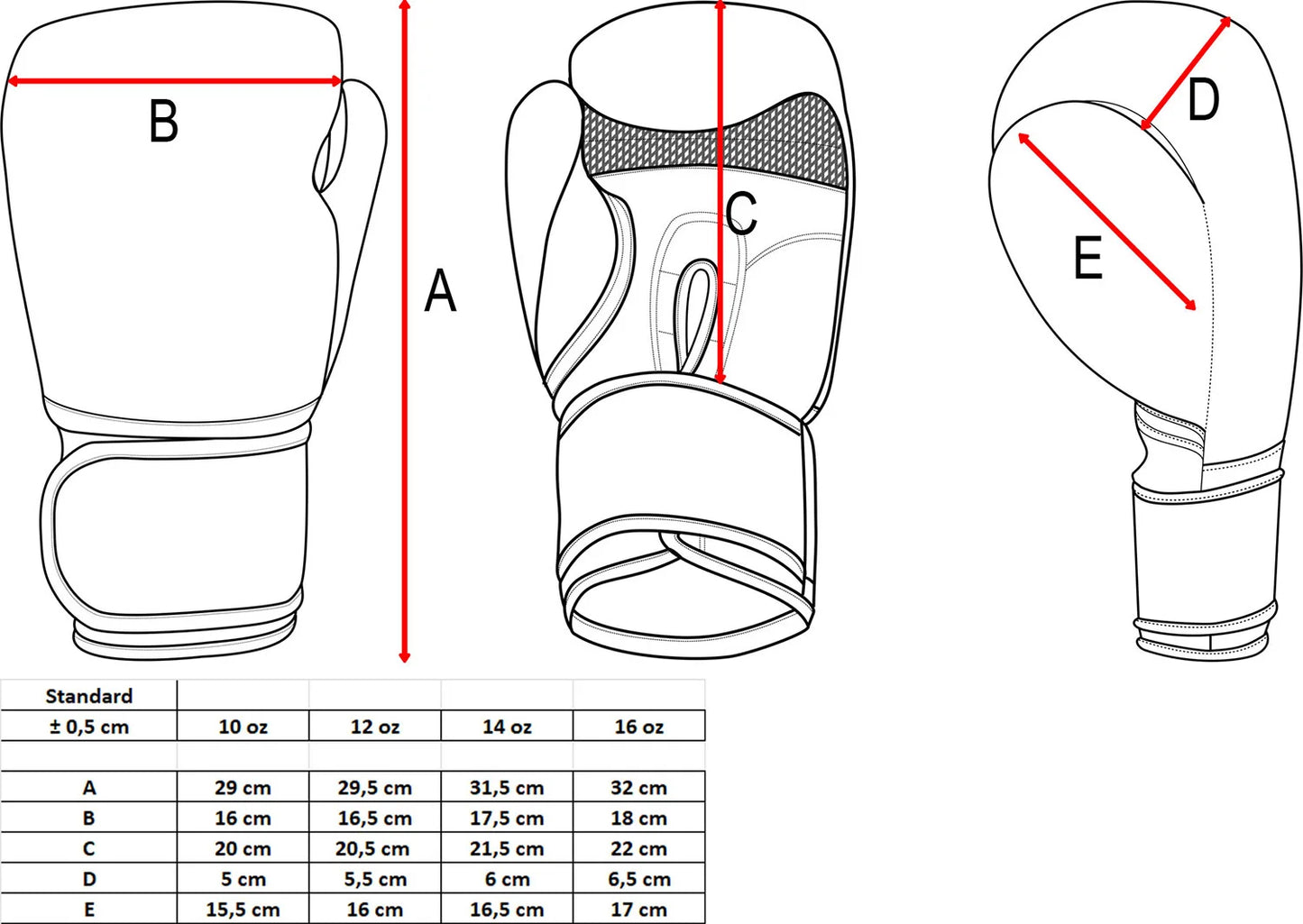 Boxing Gloves TOP TEN NK 3