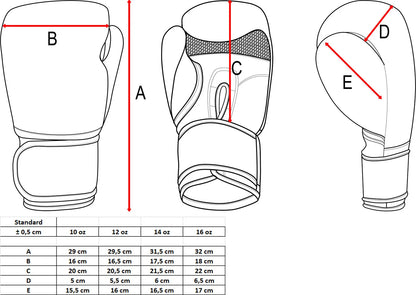 Boxing Gloves TOP TEN NK 3