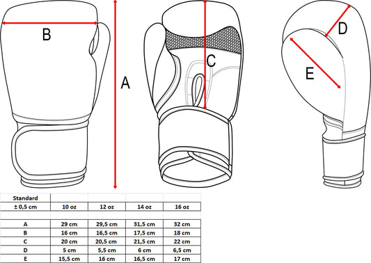 Boxing Gloves TOP TEN NK 3