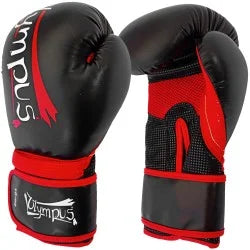 Boxing Gloves Olympus SPARTEC