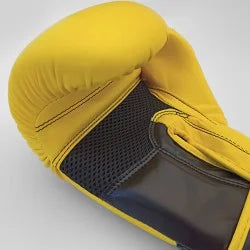 Boxing Gloves Olympus SPARTEC