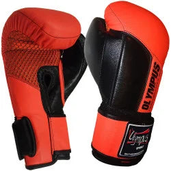 Boxing Gloves Olympus DX350 Performance PU