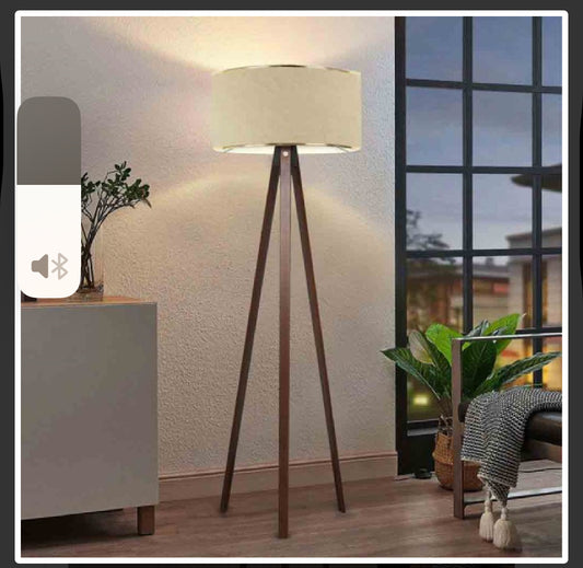 Floor lamp AYD-2986