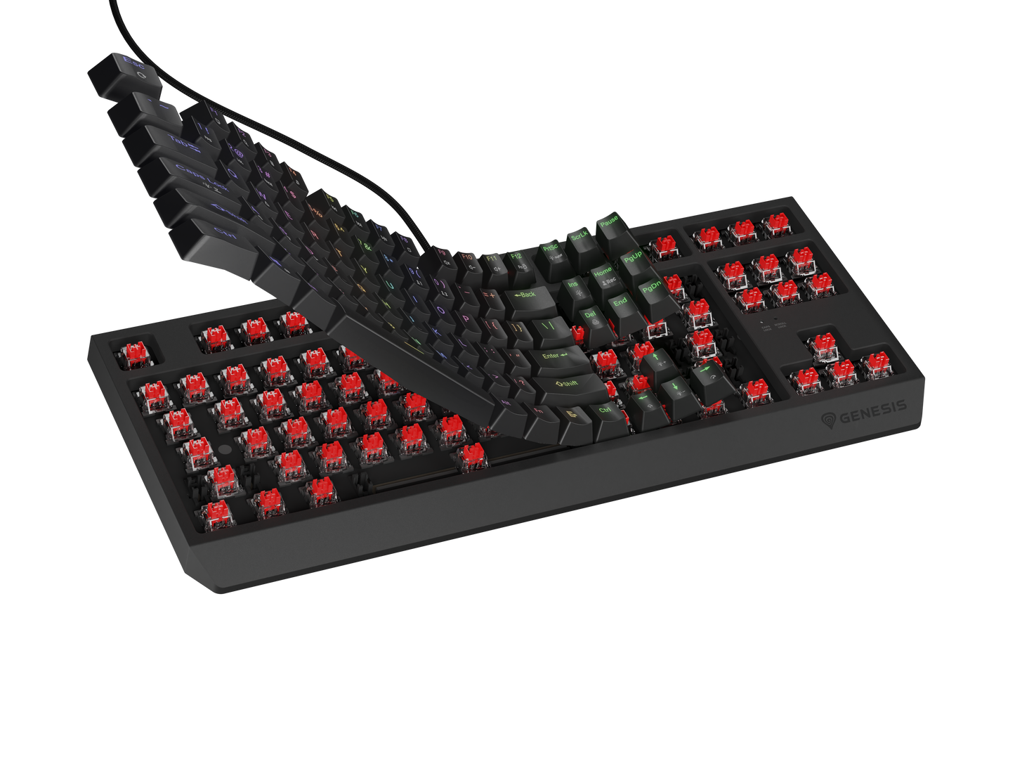 Keyboard Genesis Gaming Thor 230 TKL Hot Swap Mechanical Red Switch RGB Black